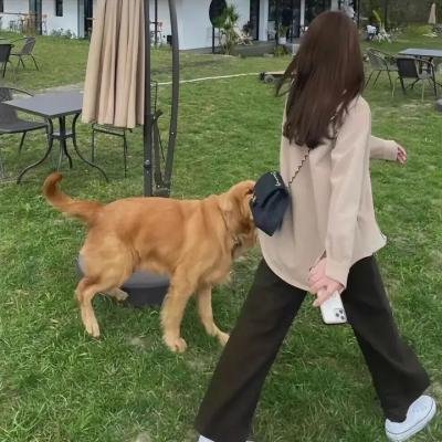 北方之子